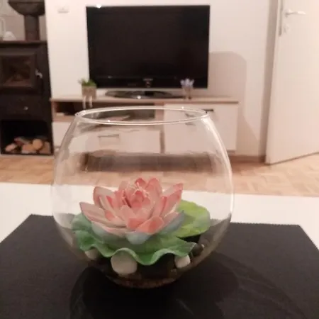 Stela Rosa *